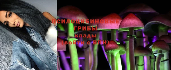 скорость Коряжма