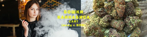 spice Козельск