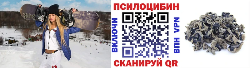 Галлюциногенные грибы Magic Shrooms  Купить закладки  Богородск 